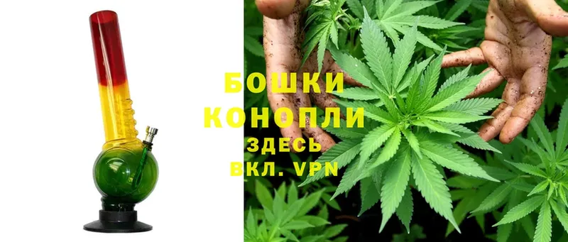 Конопля индика  купить   Рославль 